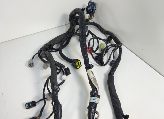 Kabelboom Kawasaki ER 6