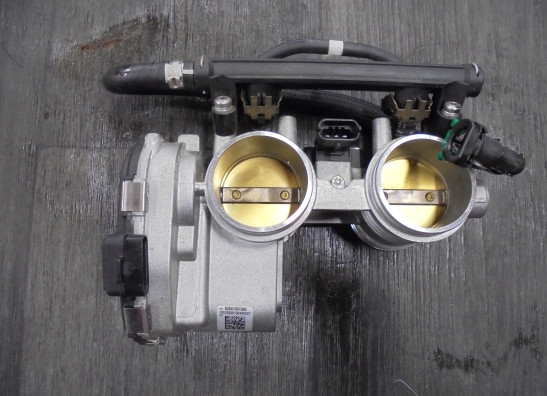 Einspritzanlage KTM 790 Duke