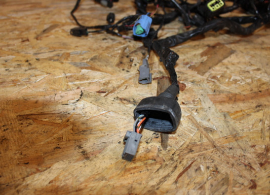 Kabelboom Kawasaki ER 6