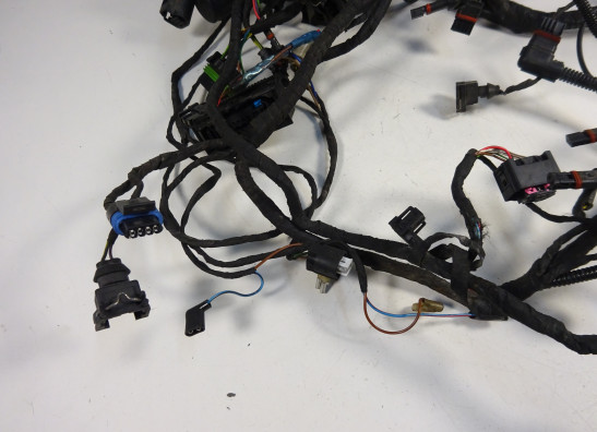 Wire Harness BMW R 1200 RT