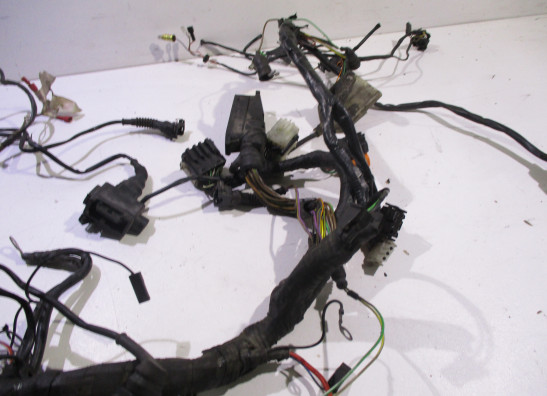 Kabelboom BMW R 850 R