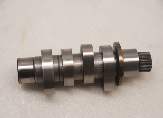 Nokkenas Harley Davidson Softtail