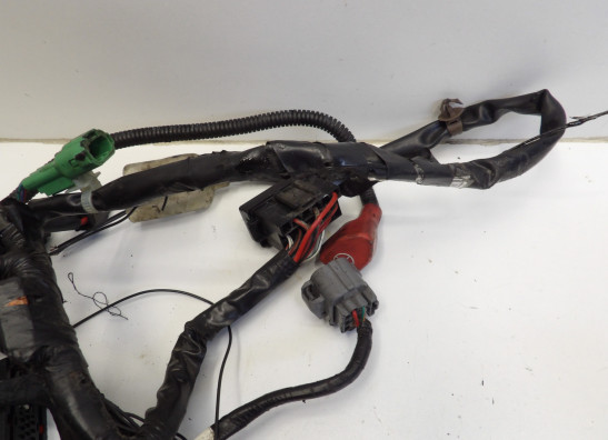 Kabelboom Honda CBF 1000