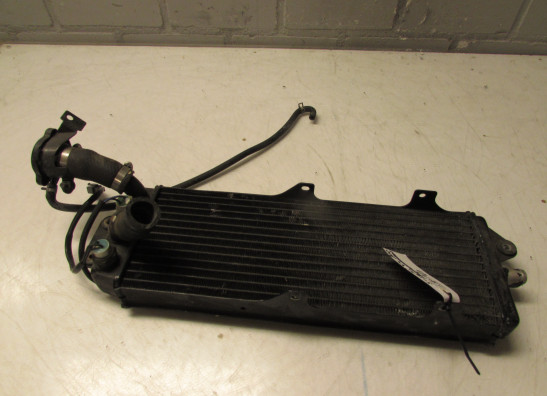 Kuhler Suzuki VX 800