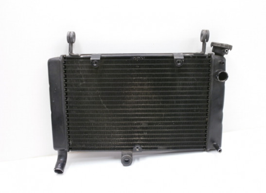 Radiator Yamaha YZF 600 Thundercat