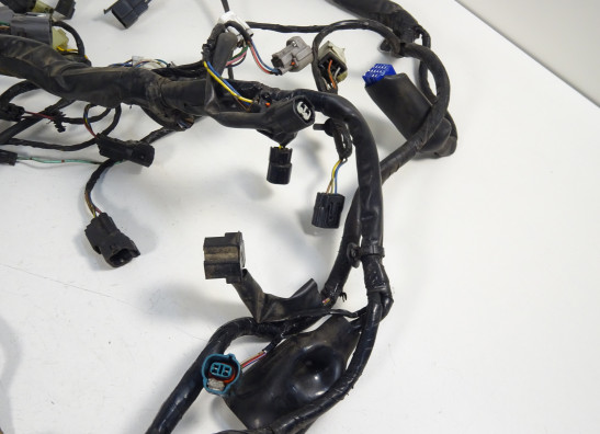 Kabelbaum Kawasaki VERSYS 650