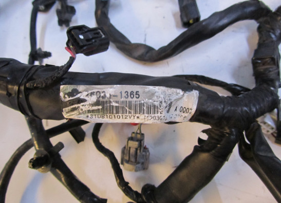 Kabelboom Kawasaki ER 6