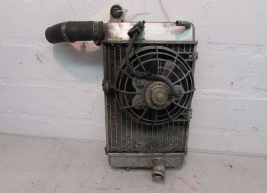 Kuhler Aprilia RSV 1000