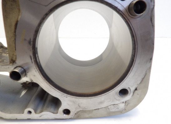 Zylinder BMW R 1100 S