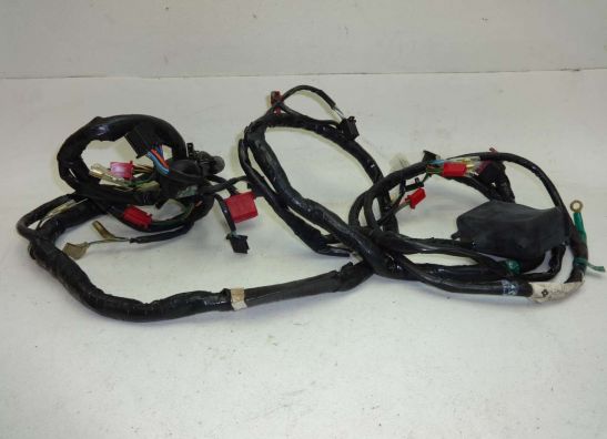 Wire Harness Honda CBR 1000 F