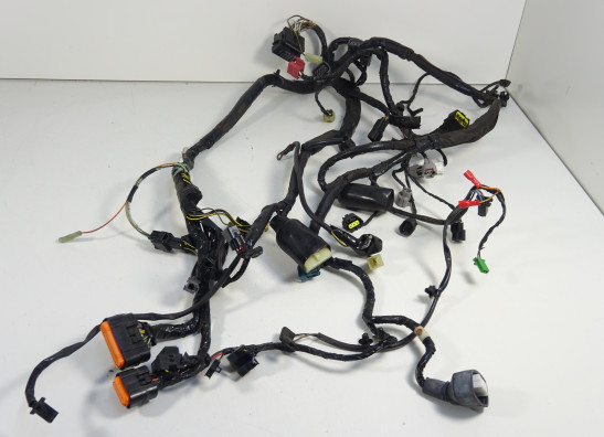 Wire Harness Kawasaki ER 6