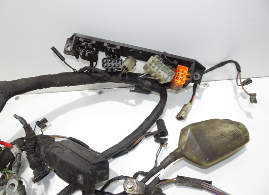 Kabelboom BMW R 1100  1150 RS