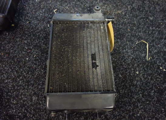 Radiateur Aprilia Falco