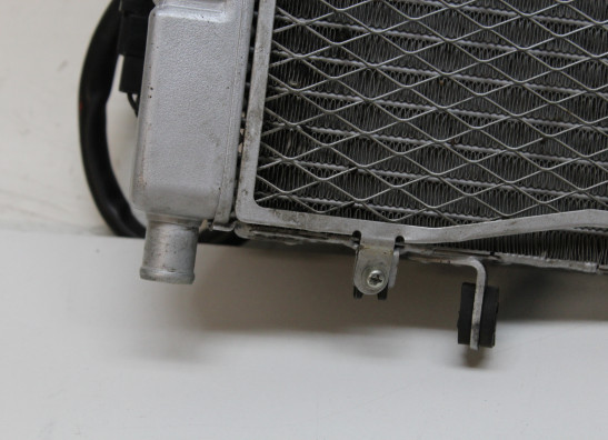 Radiateur Honda VFR 750 R - RC30