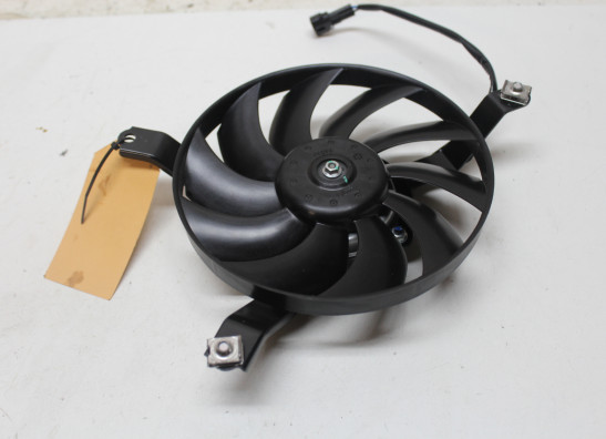 Fan Kawasaki Z 900