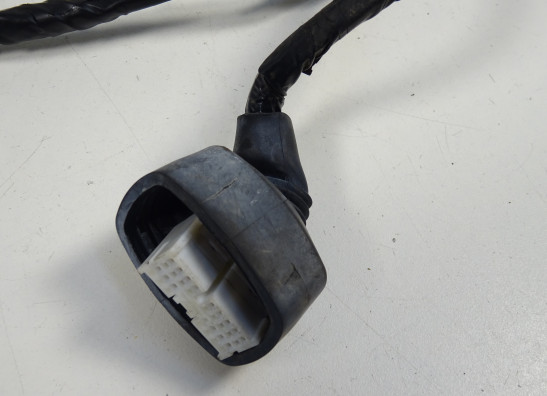 Wire Harness Kawasaki ER 6