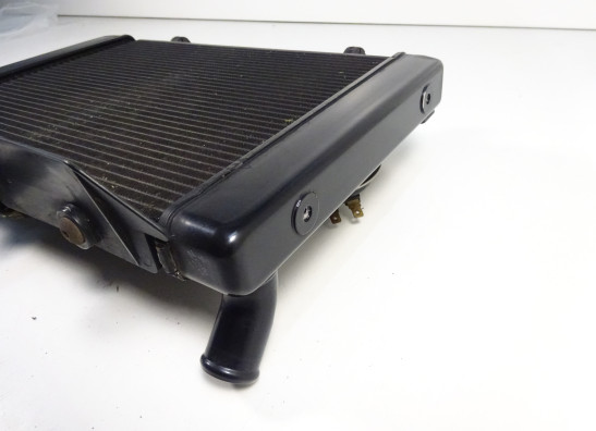 Kuhler Suzuki GSR 600