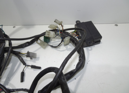 Wire Harness Aprilia Tuono 1000