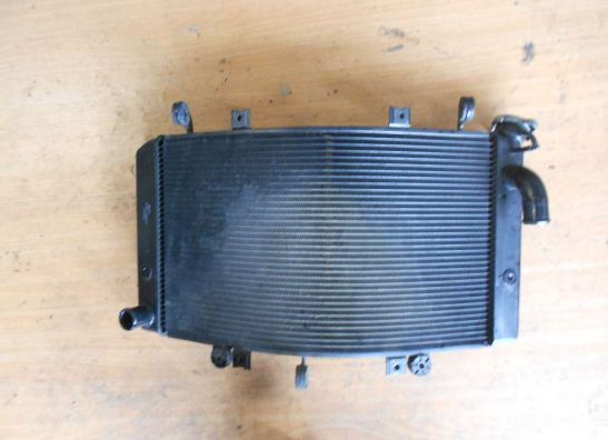 Radiator Suzuki GSX R 1300 Hayabusa