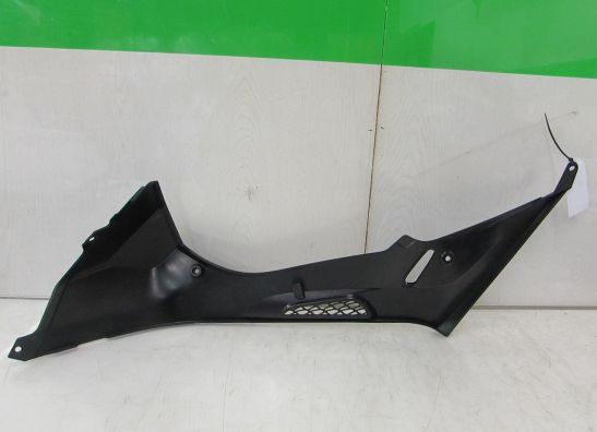 Tankschutz BMW S 1000 RR