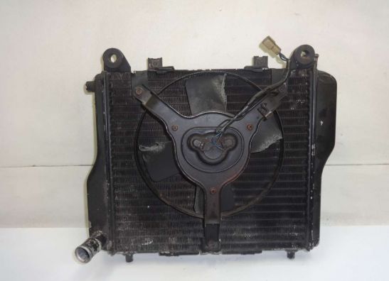 Kuhler Kawasaki GPZ 1000