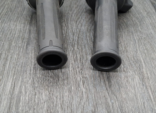 Handvat BMW F 900 XR