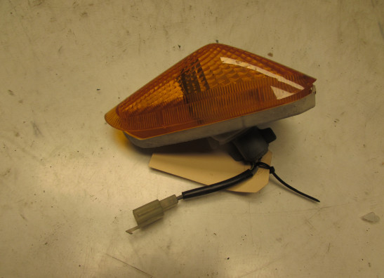 Blinker Kawasaki ZZR 600