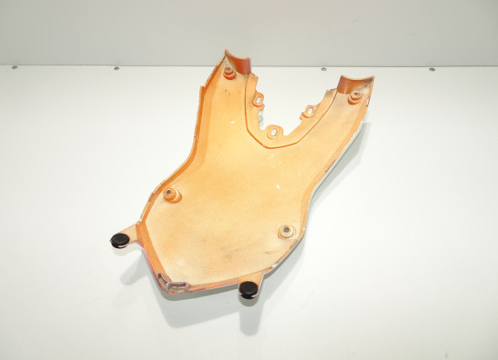 Tankschutz BMW F 650 GS