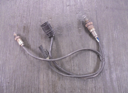 Lambda sensor BMW F 900 XR