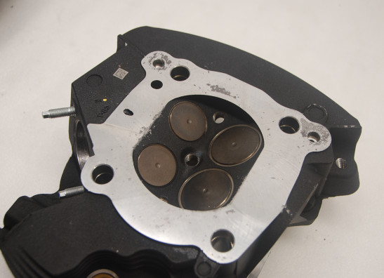 Cylinder head Harley Davidson Softtail