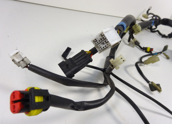 Kabelboom Cagiva Raptor 650