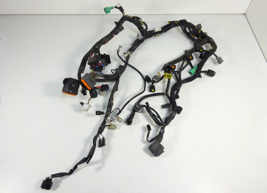 Wire Harness Suzuki GSR 750