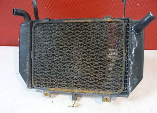 Radiateur Suzuki TL 1000