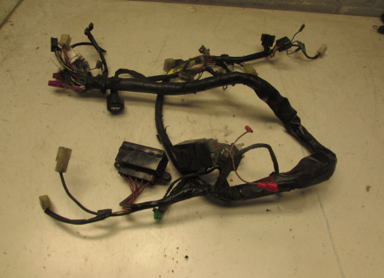 Wire Harness Yamaha FAZER 600