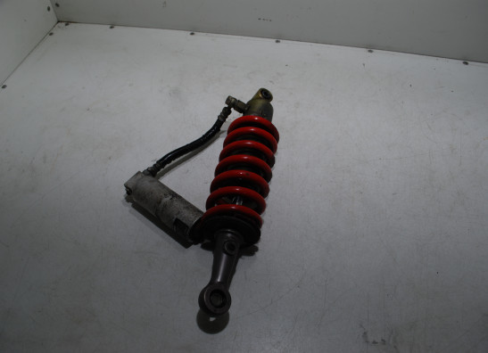 Stossdampfer hinten Triumph 595 T Daytona
