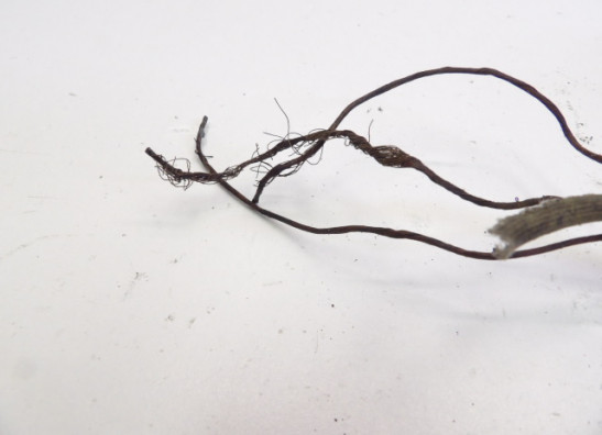 Generator Kawasaki Z 900 Z1