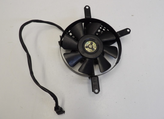 Fan Kawasaki VN 800