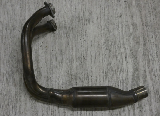 Downpipes BMW F 900 R