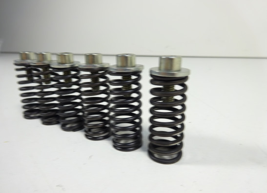 Koppeling Ducati monster 600