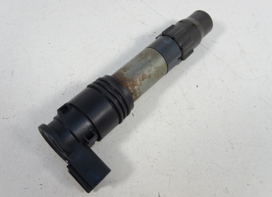 Bobine Kawasaki Ninja 300