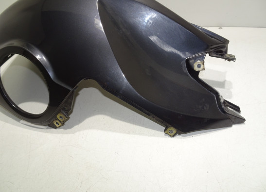 Tankschutz BMW K 1200 R 