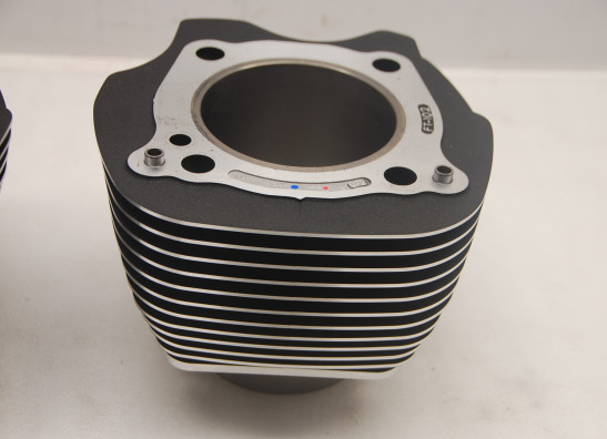 Cilinderblok Harley Davidson Softtail