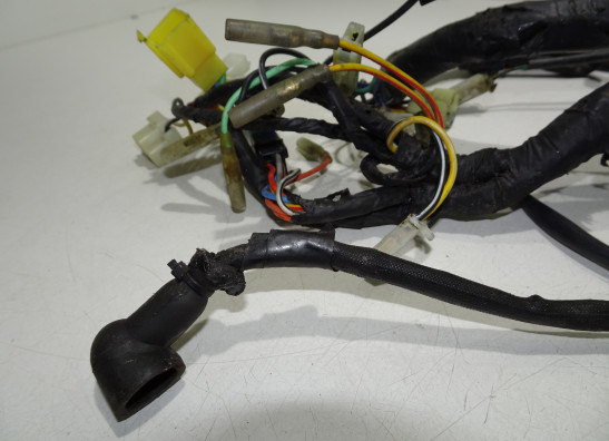 Wire Harness Hyosung Comet 650