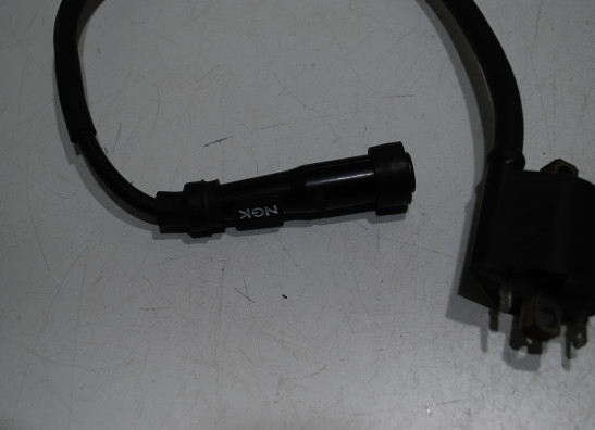 Bobine Suzuki SV 1000