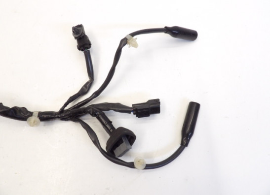 Kabelbaum vorne Honda CBR 500 R