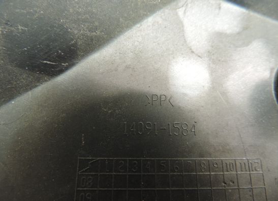 Verkleidungsteil Kawasaki ER 6