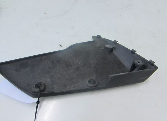 Voorspatbord Kawasaki ZX 6 R