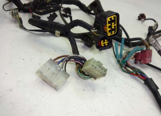 Kabelbaum Kawasaki EL 250