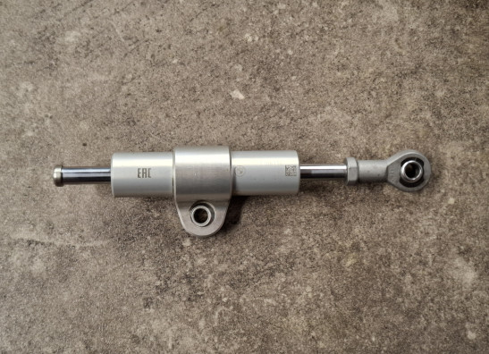 Steering damper BMW R 1300 GS