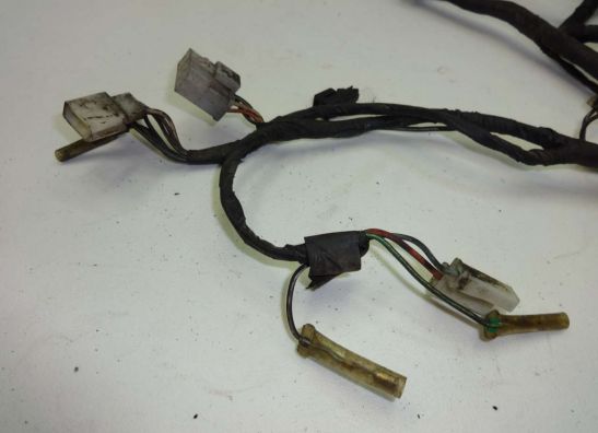 Wire Harness Suzuki GR 650